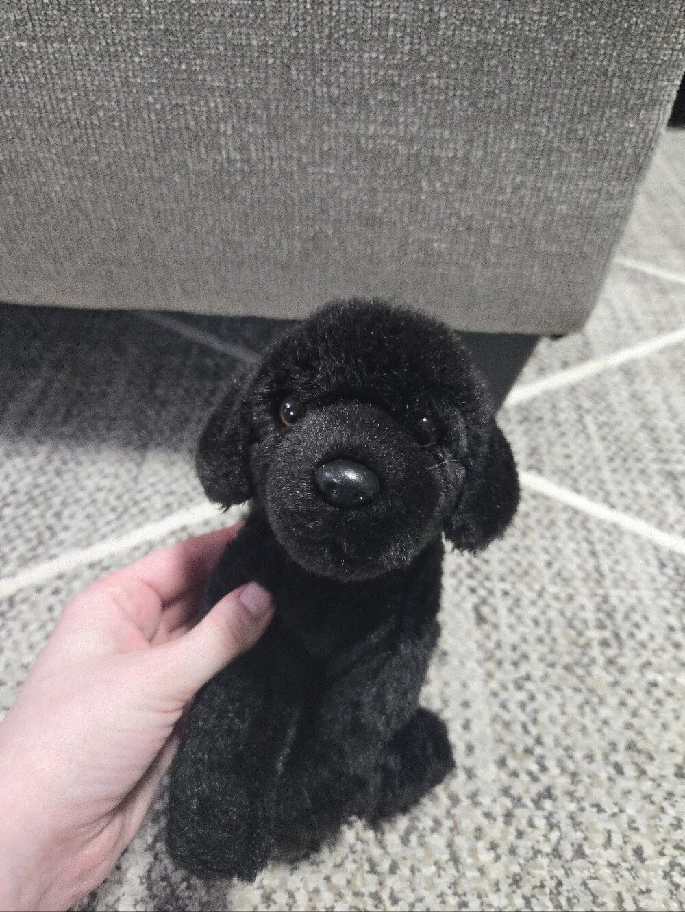 Black Lab Webkinz Signature